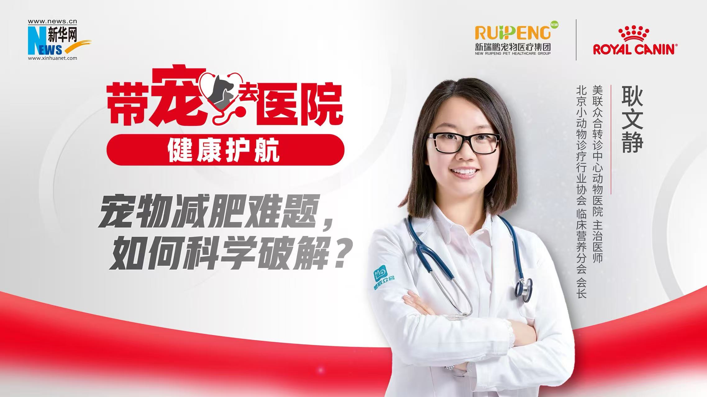 帶寵去醫(yī)院 健康護(hù)航｜寵物減肥難題，如何科學(xué)破解？