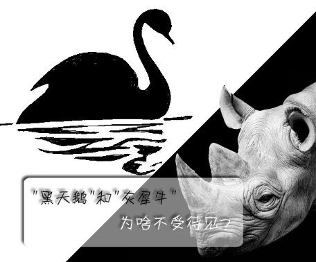 "黑天鵝"和"灰犀牛"為啥不受待見？