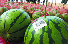 安徽建立農(nóng)產(chǎn)品生產(chǎn)記錄確保“可追溯”