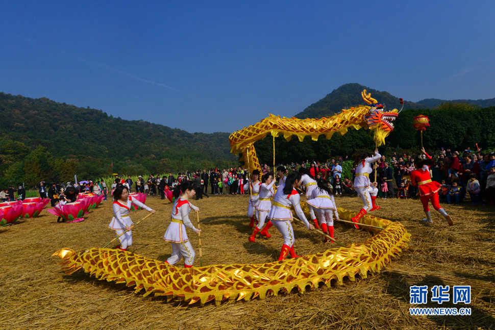 城市“農(nóng)樂(lè)節(jié)”映像