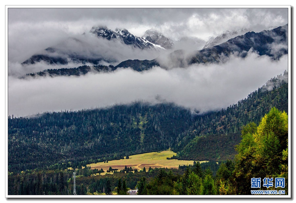 魯朗林海入畫游