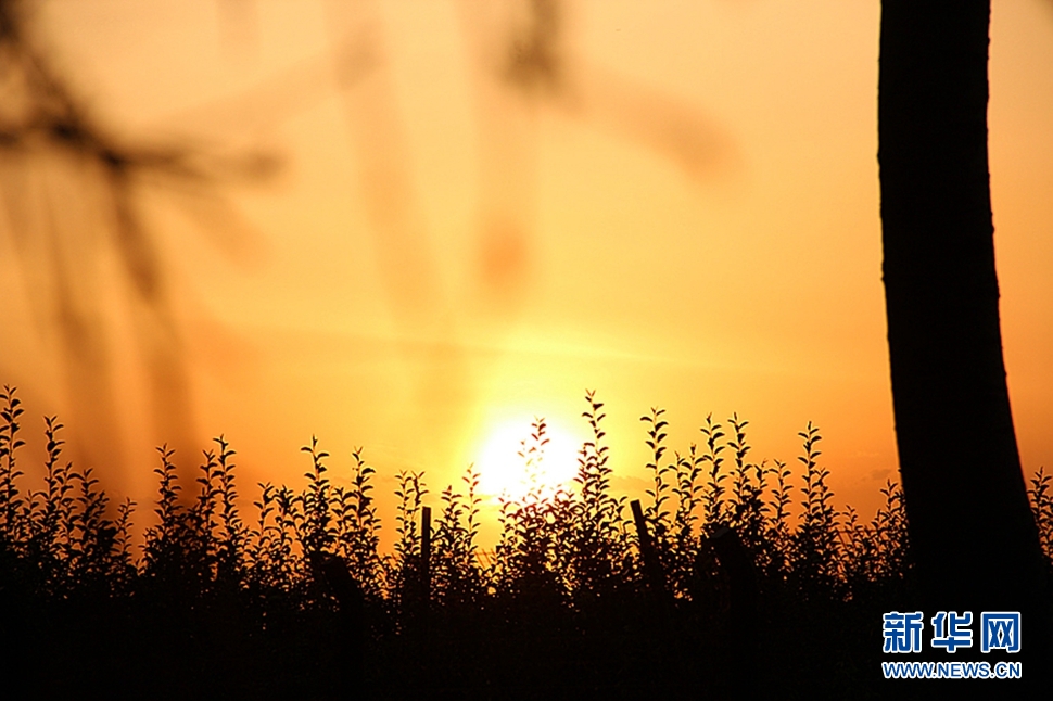 日落西山頭，人約黃昏后