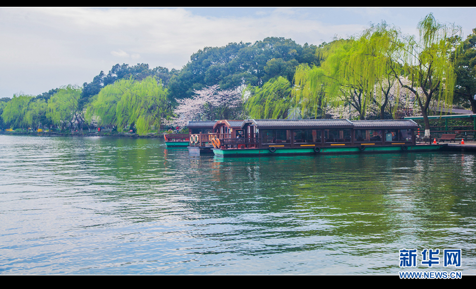聽風(fēng)西湖柳，聞香龍井茶