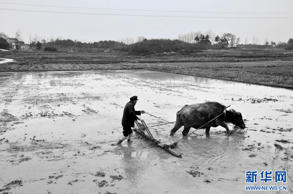 農民工老吳鏡頭下農村改革開放40周年