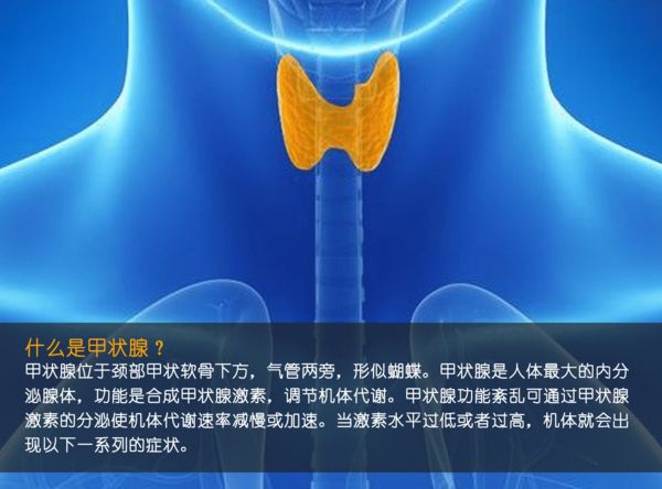 關(guān)注甲狀腺健康，你應(yīng)該知道的那些事