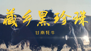 溯源中國(guó)名品推薦&middot;藏鄉(xiāng)黑珍珠