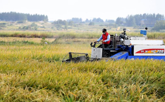 40年，小崗人的18個&ldquo;第一次&rdquo;