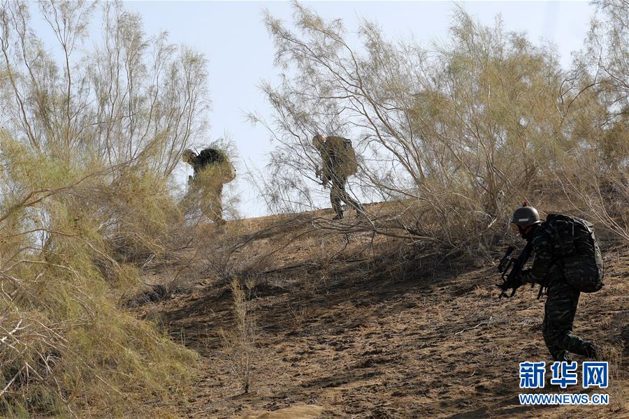 （圖文互動(dòng)）（1）&ldquo;山鷹&rdquo;突擊&mdash;&mdash;武警新疆總隊(duì)&ldquo;山鷹&rdquo;突擊隊(duì)成長(zhǎng)記