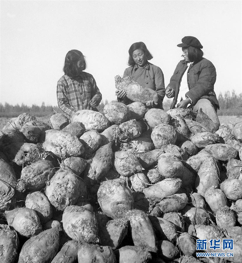 （圖文互動(dòng)）（2）為了&ldquo;中國(guó)號(hào)&rdquo;巨輪揚(yáng)帆遠(yuǎn)航&mdash;&mdash;中國(guó)共產(chǎn)黨領(lǐng)導(dǎo)下的人民軍隊(duì)忠于祖國(guó)、服務(wù)人民啟示錄