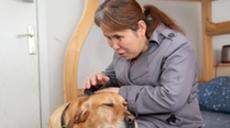 &ldquo;有你在身旁，真好&rdquo;