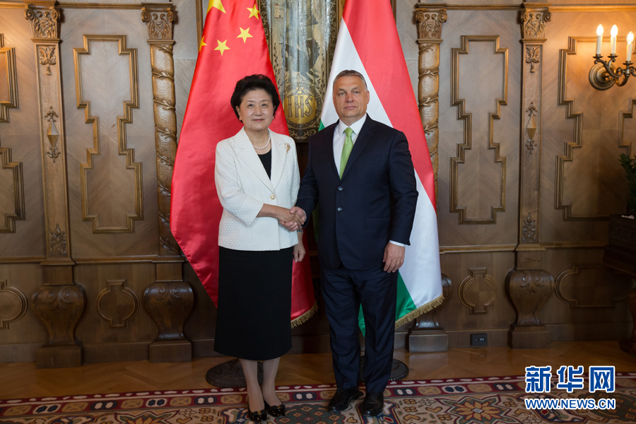  6月21日，國(guó)務(wù)院副總理劉延?xùn)|（左）在匈牙利布達(dá)佩斯國(guó)會(huì)大廈會(huì)見(jiàn)匈牙利總理歐爾班。 新華社發(fā)（弗爾季&middot;奧蒂洛攝）