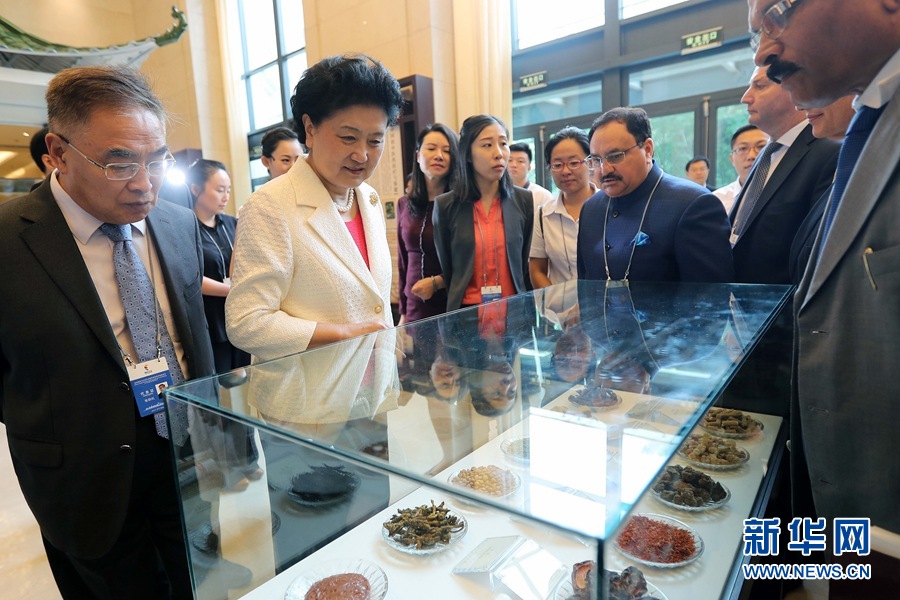 7月6日，金磚國家衛(wèi)生部長會暨傳統(tǒng)醫(yī)藥高級別會議在天津開幕。這是國務院副總理劉延東與外賓一起參觀傳統(tǒng)醫(yī)藥文化展。 新華社記者 張玉薇 攝