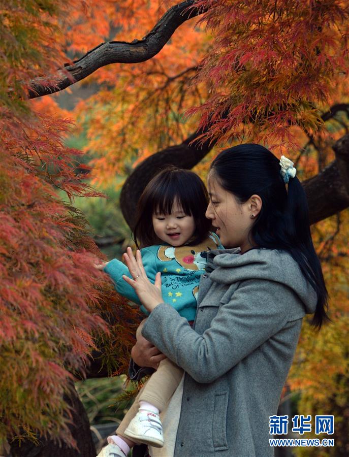 （國際&middot;編輯連線）（3）母親的懷抱