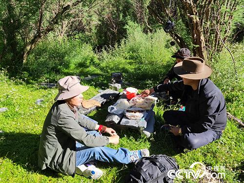 長途跋涉途中休息。