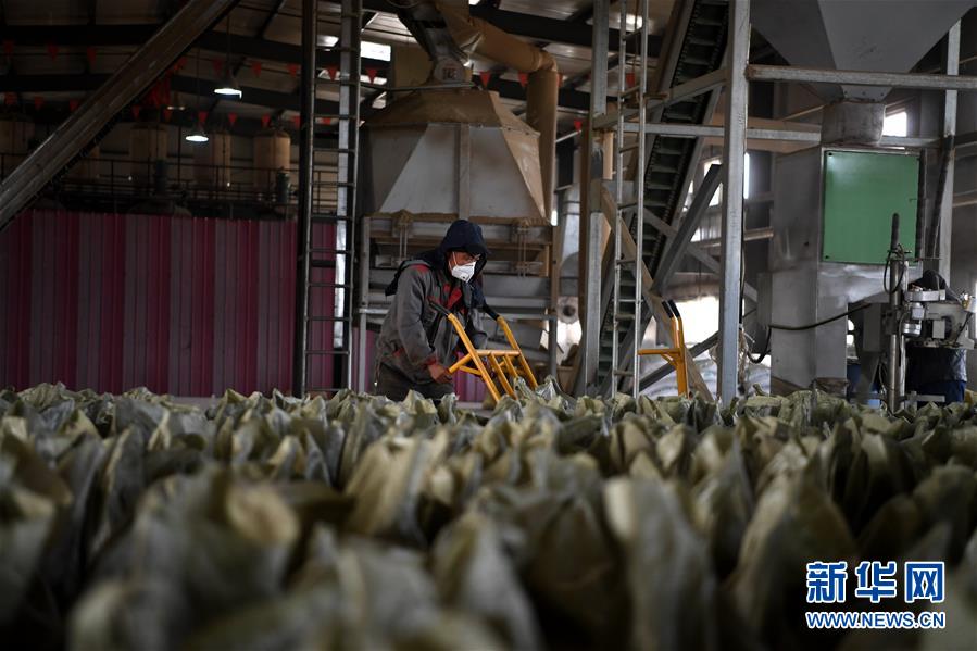 （在習(xí)近平新時(shí)代中國特色社會(huì)主義思想指引下&mdash;&mdash;新時(shí)代新氣象新作為&middot;鄉(xiāng)村振興戰(zhàn)略&middot;圖文互動(dòng)）（1）&ldquo;與其放火，不如打包&rdquo;&mdash;&mdash;山西渾源秸稈綜合再利用見聞