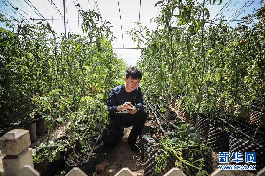 （新華全媒頭條&middot;圖文互動(dòng)）（5）青春萬(wàn)歲 強(qiáng)國(guó)有我