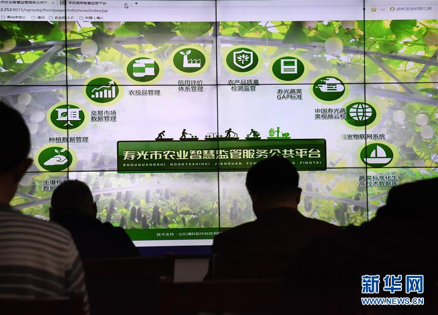 (壯麗70年·奮斗新時(shí)代·圖文互動(dòng))(4)山東壽光:一棵“菜”興一座城