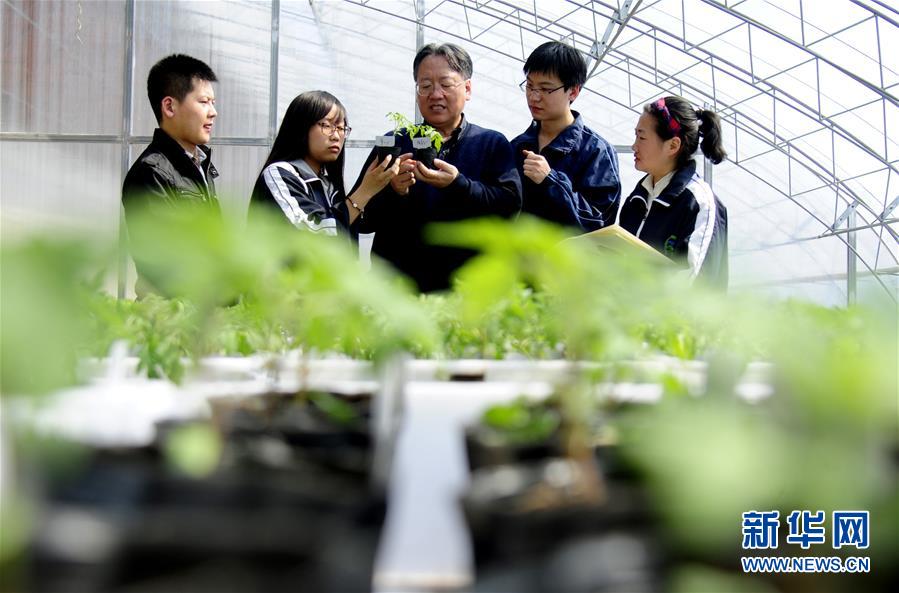 （新華全媒頭條&middot;圖文互動(dòng)）（7）和蔬菜&ldquo;說話&rdquo;的人&mdash;&mdash;中國(guó)工程院院士李天來的&ldquo;棚菜人生&rdquo;