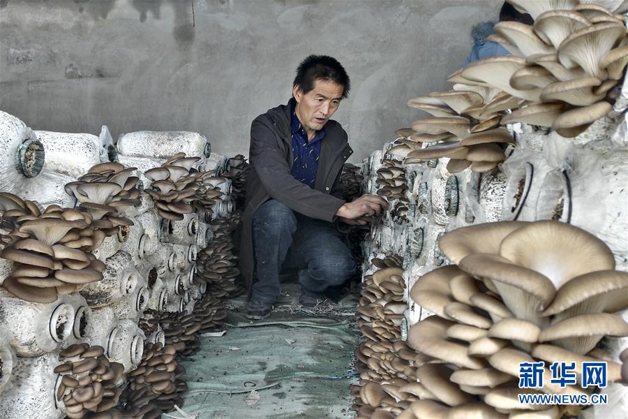 （脫貧攻堅(jiān)&middot;圖文互動）（3）東達(dá)村脫貧記