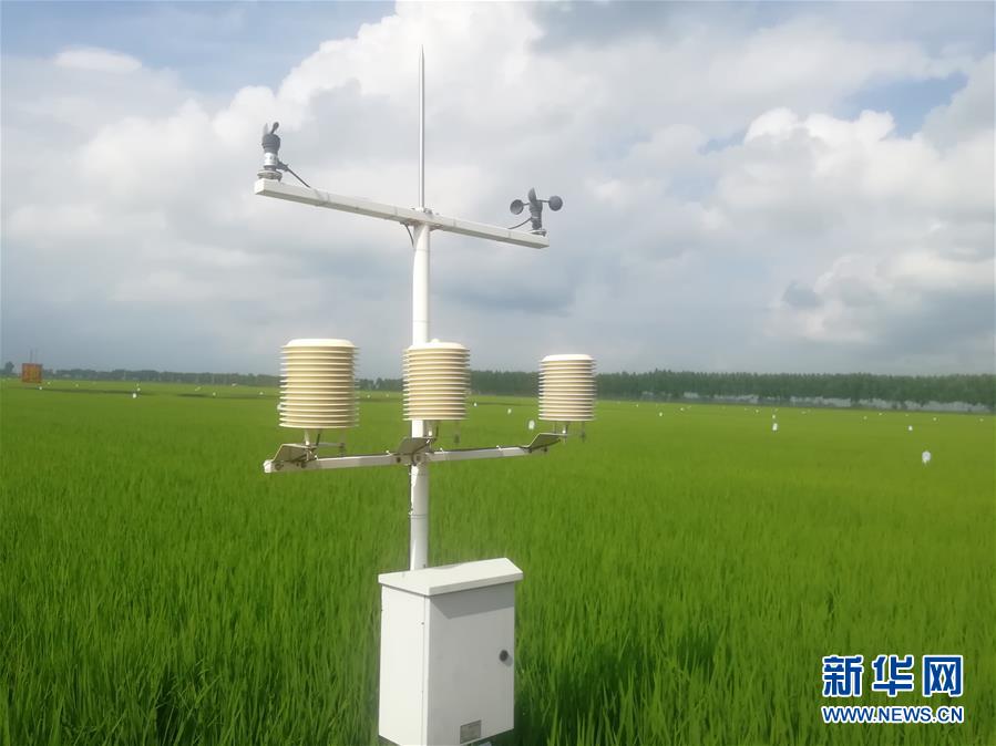 （在習(xí)近平新時(shí)代中國(guó)特色社會(huì)主義思想指引下&mdash;&mdash;新時(shí)代新作為新篇章&middot;圖文互動(dòng)）（1）從&ldquo;靠天吃飯&rdquo;到&ldquo;看天管理&rdquo;&mdash;&mdash;黑龍江創(chuàng)新氣象為農(nóng)服務(wù)體系觀察