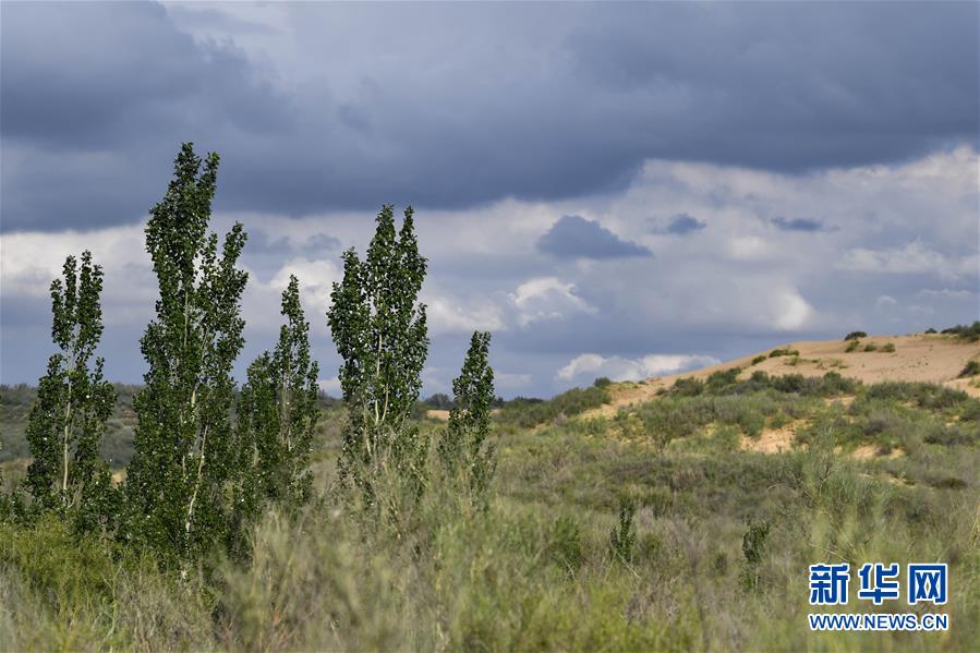 （在習(xí)近平新時代中國特色社會主義思想指引下&mdash;&mdash;新時代新作為新篇章&middot;總書記關(guān)切高質(zhì)量發(fā)展&middot;圖文互動）（2）從一粒沙看不斷擴(kuò)大的中國綠色版圖