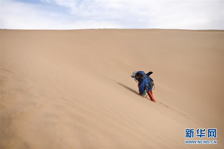 （新春走基層&middot;圖文互動(dòng)）（3）寒冬里，&ldquo;沙漠玫瑰&rdquo;猶自綻放