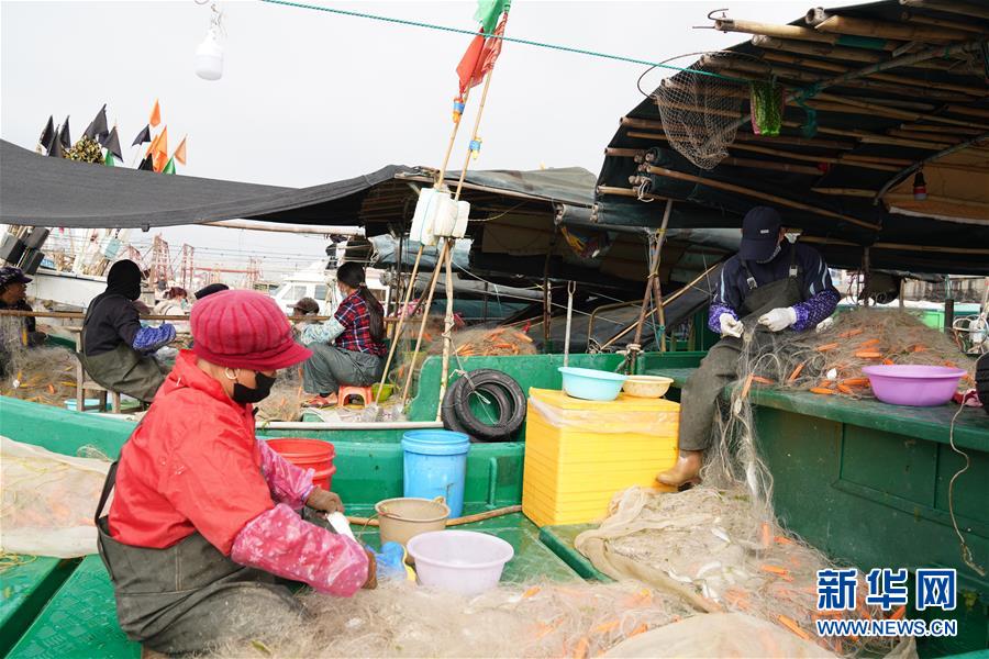 （圖文互動）（2）與疫情抗?fàn)?與春光同行&mdash;&mdash;廣西農(nóng)村春耕備耕一線觀察