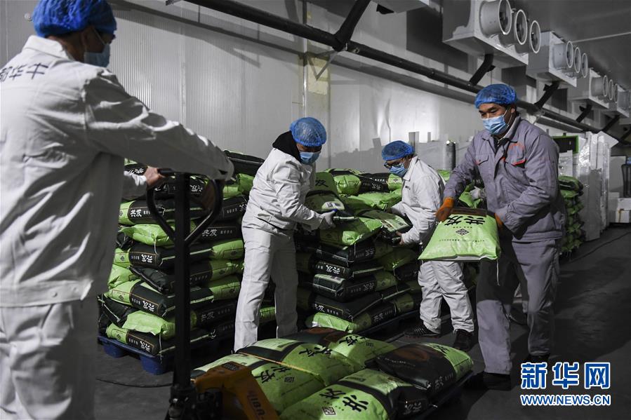 (抓好經(jīng)濟(jì)發(fā)展 應(yīng)對復(fù)雜局面·圖文互動)(1)“一企一策”解難題 大項目按下“加速器”——廣西精準(zhǔn)有序推動項目開工復(fù)工