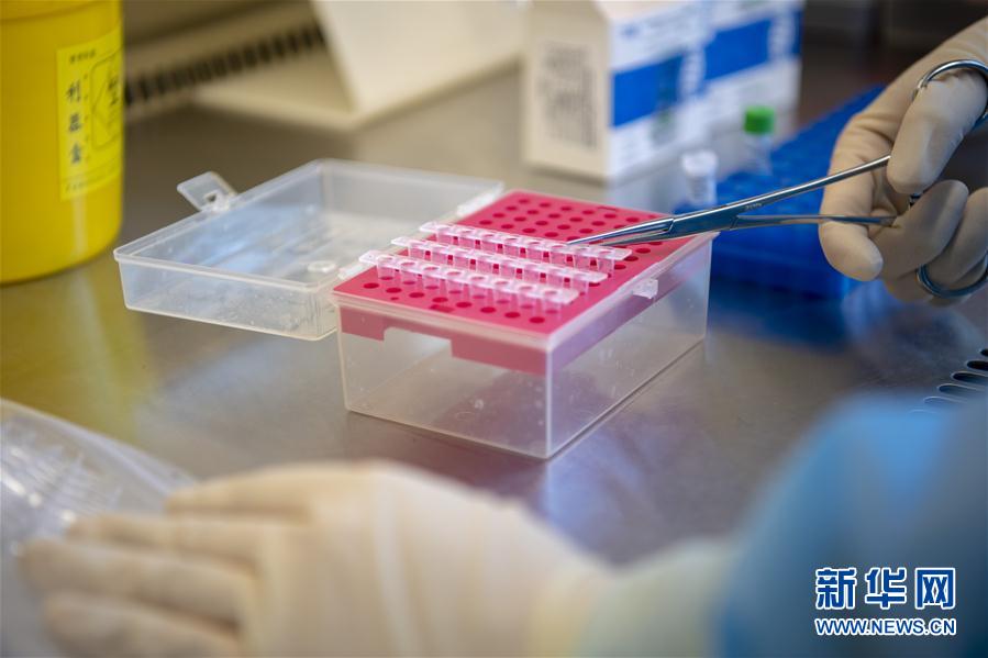 （一線抗疫群英譜&middot;圖文互動(dòng)）（4）&ldquo;90后&rdquo;檢驗(yàn)員張慧變：每個(gè)樣本都是一份沉甸甸的責(zé)任