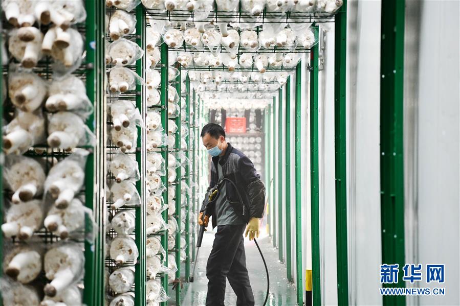 （決戰(zhàn)決勝脫貧攻堅&middot;圖文互動）（3）補(bǔ)短板 促就業(yè) 穩(wěn)增收&mdash;&mdash;貴州向脫貧&ldquo;硬骨頭&rdquo;發(fā)起總攻