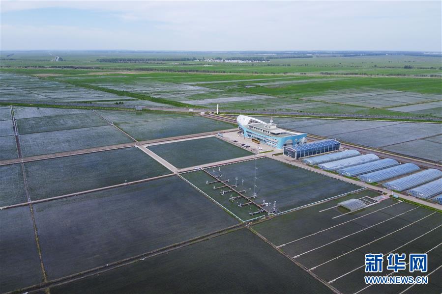 （走向我們的小康生活&middot;圖文互動(dòng)）（3）端牢&ldquo;中國(guó)飯碗&rdquo; 播種綠色小康