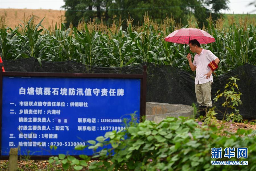 （防汛抗洪&middot;圖文互動）（1）&ldquo;險情不可怕，可怕的是不能及時發(fā)現(xiàn)險情&rdquo;&mdash;&mdash;洞庭湖巡堤查險現(xiàn)場直擊