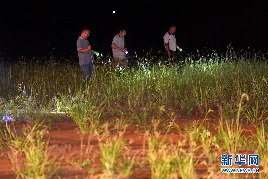 （防汛抗洪&middot;圖文互動(dòng)）（2）&ldquo;保衛(wèi)家園，誰(shuí)都不能是旁觀者&rdquo;&mdash;&mdash;夜訪洞庭湖大堤防汛一線