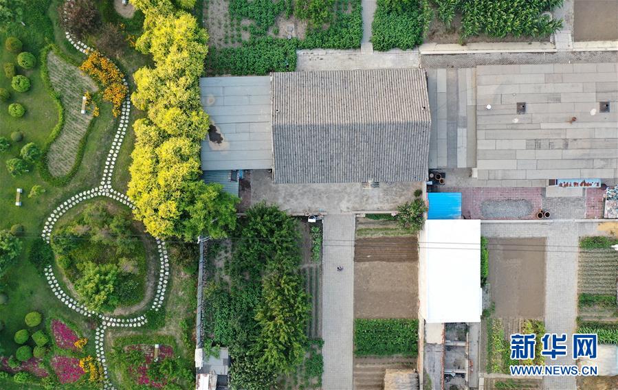 （新華全媒頭條&middot;走向我們的小康生活&middot;圖文互動(dòng)）（1）&ldquo;南大荒&rdquo;變&ldquo;稻蟹鄉(xiāng)&rdquo;&mdash;&mdash;資源枯竭型城市盤錦的鄉(xiāng)村振興之路