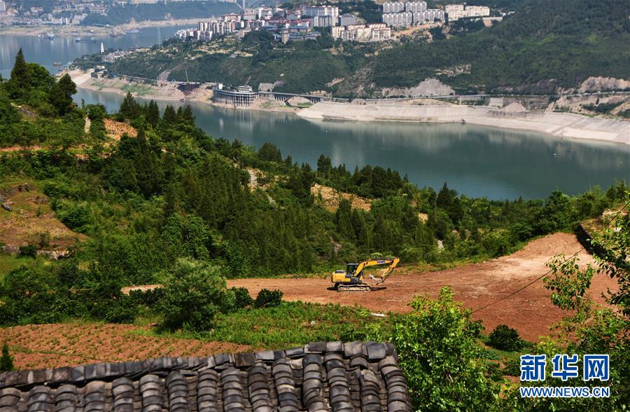 （決戰(zhàn)決勝脫貧攻堅(jiān)&middot;圖文互動）（4）&ldquo;三峽第一村&rdquo;脫貧記