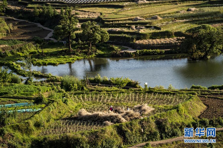 （集中連片特困地區(qū)貧困村調(diào)研行&middot;圖文互動(dòng)）（4）阿佤人民再唱新歌&mdash;&mdash;云南騰沖市三家村中寨司莫拉佤族村脫貧調(diào)查