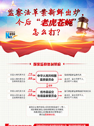 監(jiān)察法草案新鮮出爐 今后&ldquo;老虎蒼蠅&rdquo;怎么打？