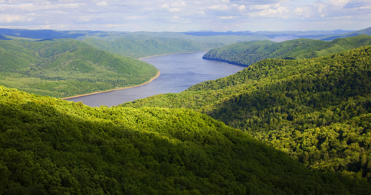 張建龍：&ldquo;三北工程&rdquo;實(shí)現(xiàn)生態(tài)、經(jīng)濟(jì)、社會(huì)效益&ldquo;多贏&rdquo;