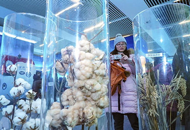 展覽累計(jì)參觀(guān)人數(shù)突破210萬(wàn)