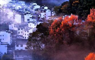 婺源古村 冬日山居&ldquo;楓&rdquo;景如畫