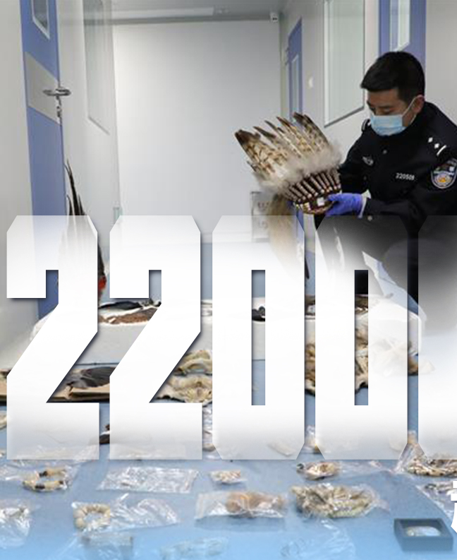 抗疫有&ldquo;法&rdquo;，就是這么給力！