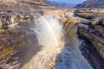 壺口迎來&ldquo;桃花汛&rdquo; 黃河兩岸架彩虹