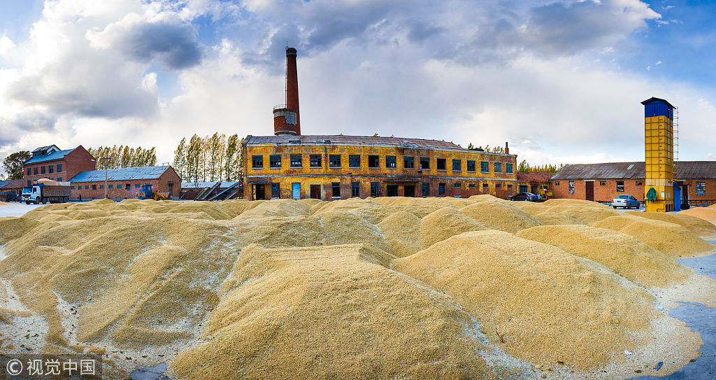 糧食收儲機制改革應(yīng)從價格支持轉(zhuǎn)向風險管理