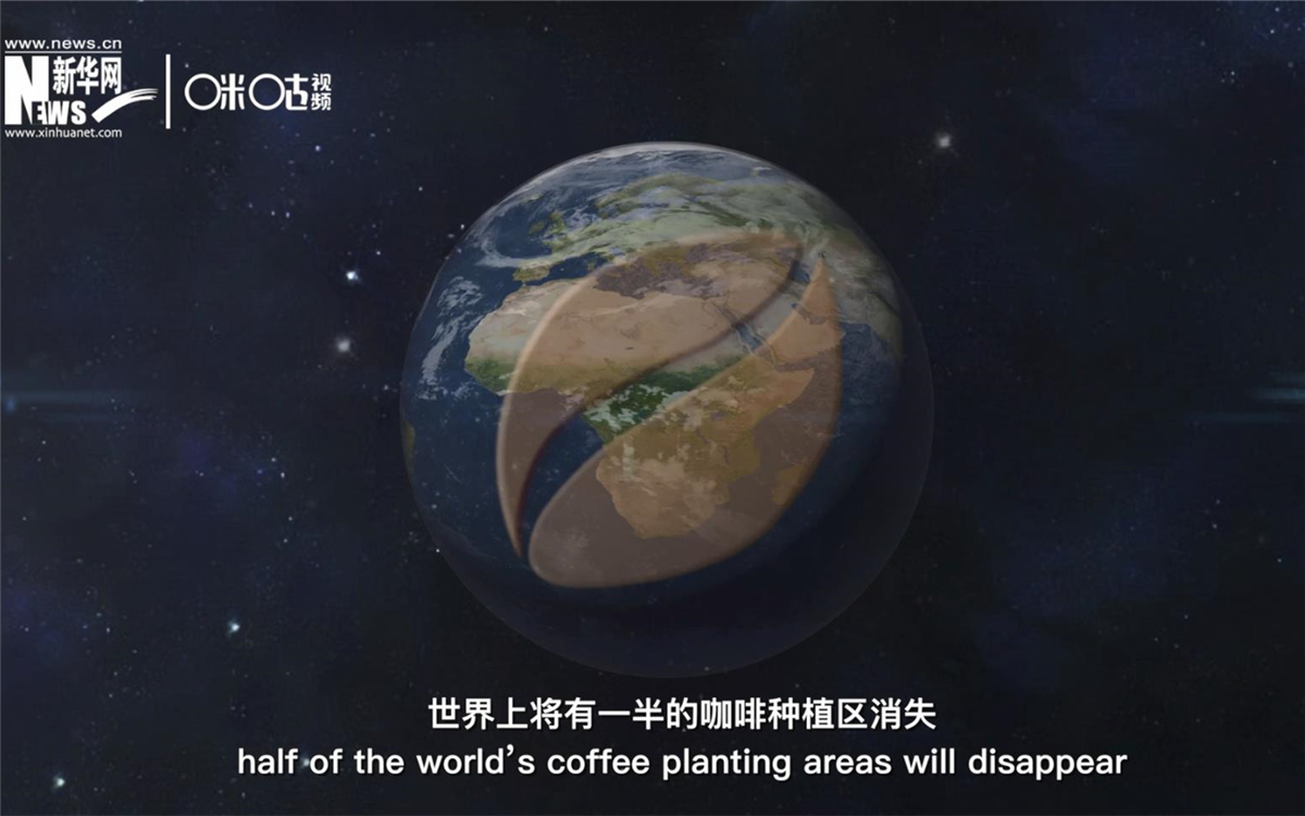 科學(xué)家預(yù)測到三十年后，世界上將有一半的咖啡種植區(qū)消失