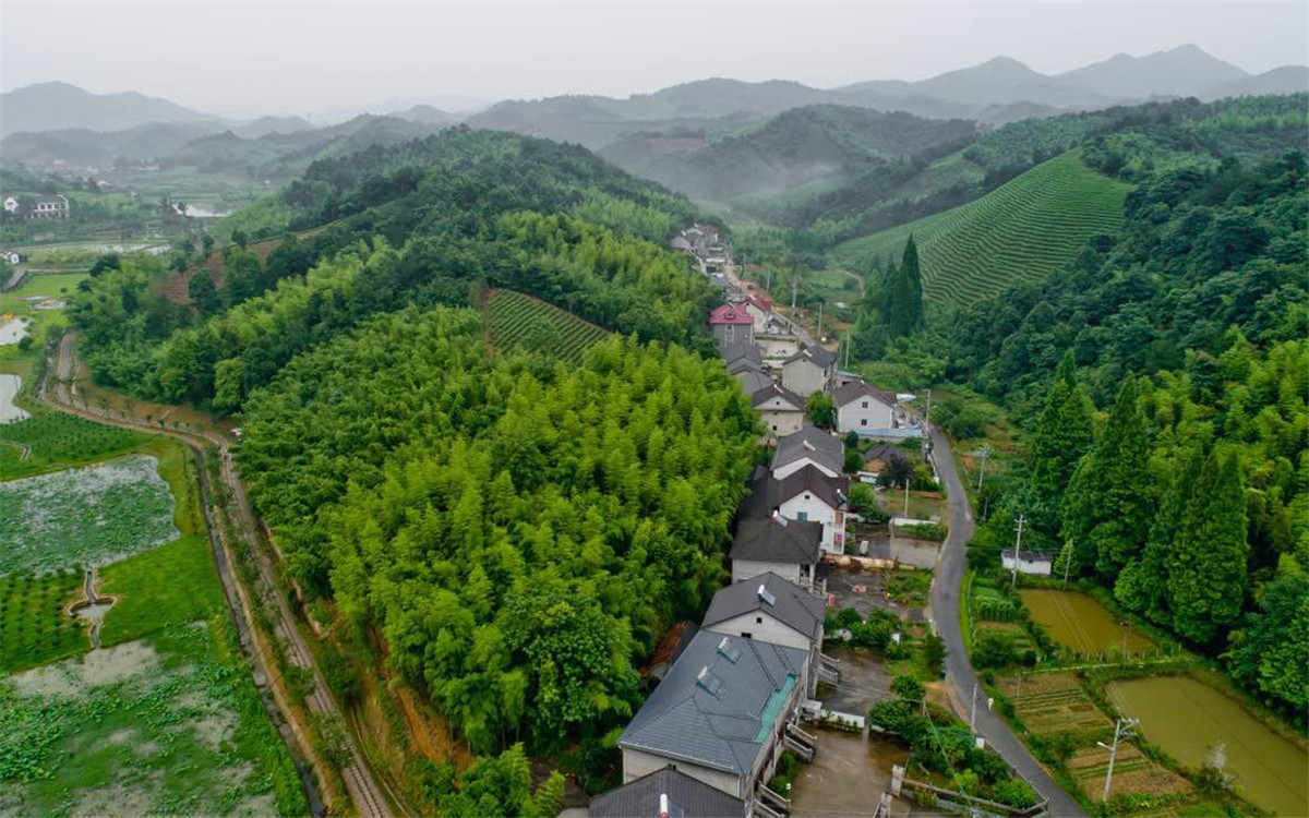 從2003年起，浙江省開展了&ldquo;千村示范、萬村整治&rdquo;工程