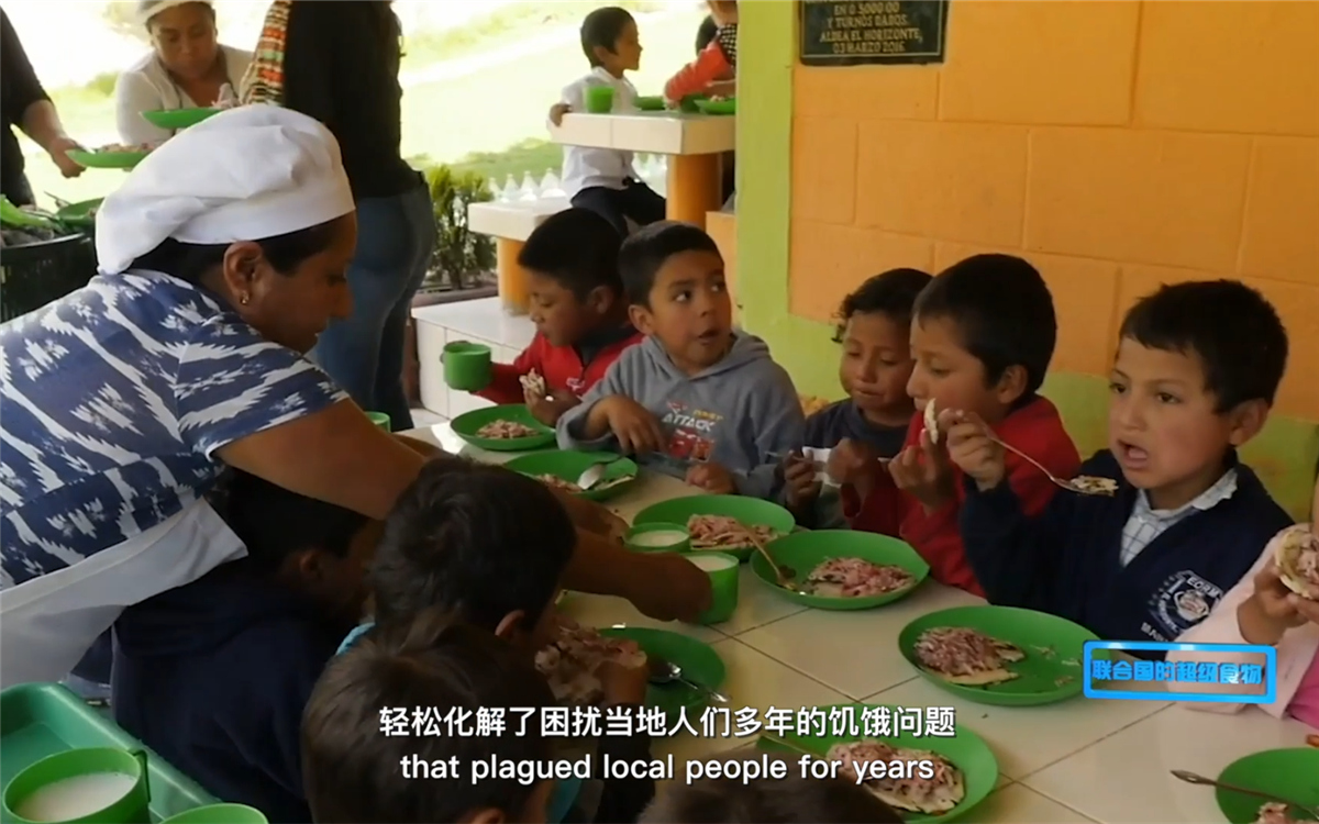 藜麥的蹤跡遍布北美、歐洲、亞洲和非洲多地