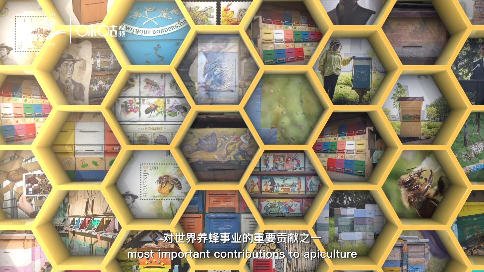 他開(kāi)始用色彩豐富的畫(huà)作來(lái)裝飾蜂巢的前板，幫助不同蜂群按照習(xí)性和顏色順利找到自己的蜂巢