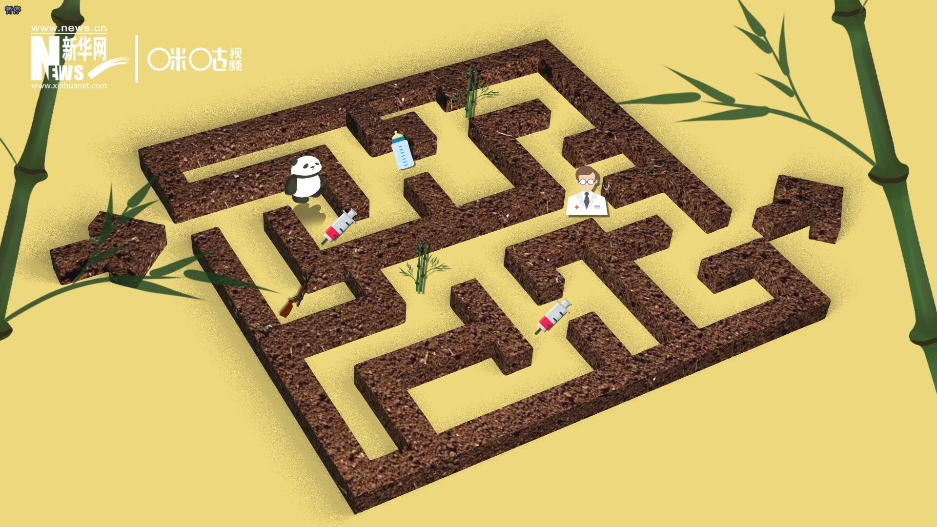 2016年，國際自然保護聯(lián)盟將大熊貓的物種瀕危等級，從&ldquo;瀕危&rdquo;下降到了&ldquo;易危&rdquo;。