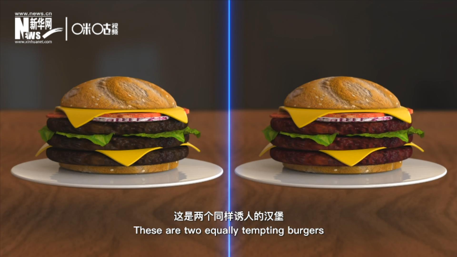 人造肉漢堡能在生產(chǎn)過程中節(jié)約水、土地、排放以及能量