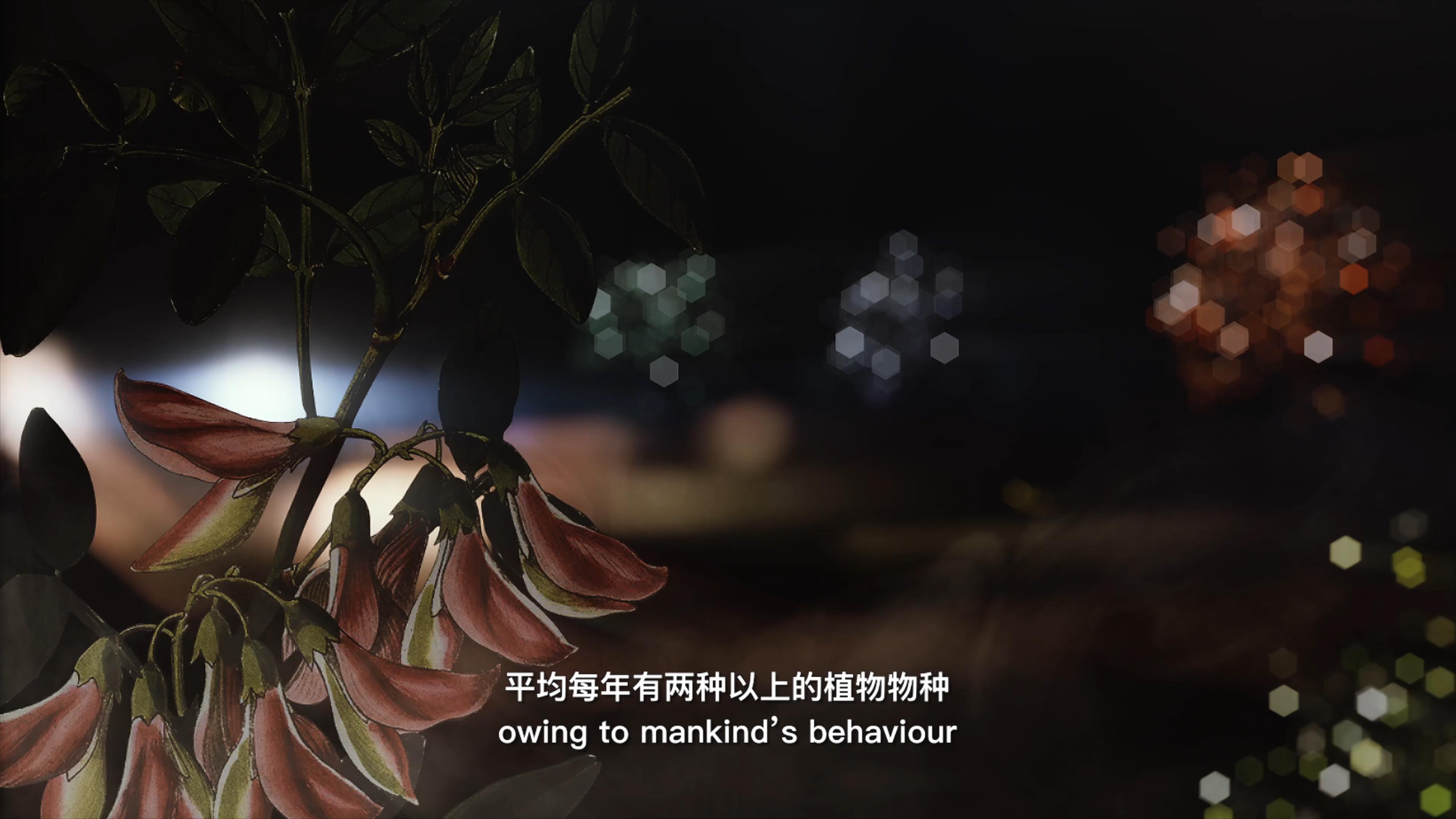 自18世紀(jì)中葉以來，許多植物物種因?yàn)槿祟惖脑蚨鴱牡厍蛏舷? />      
<div   id=